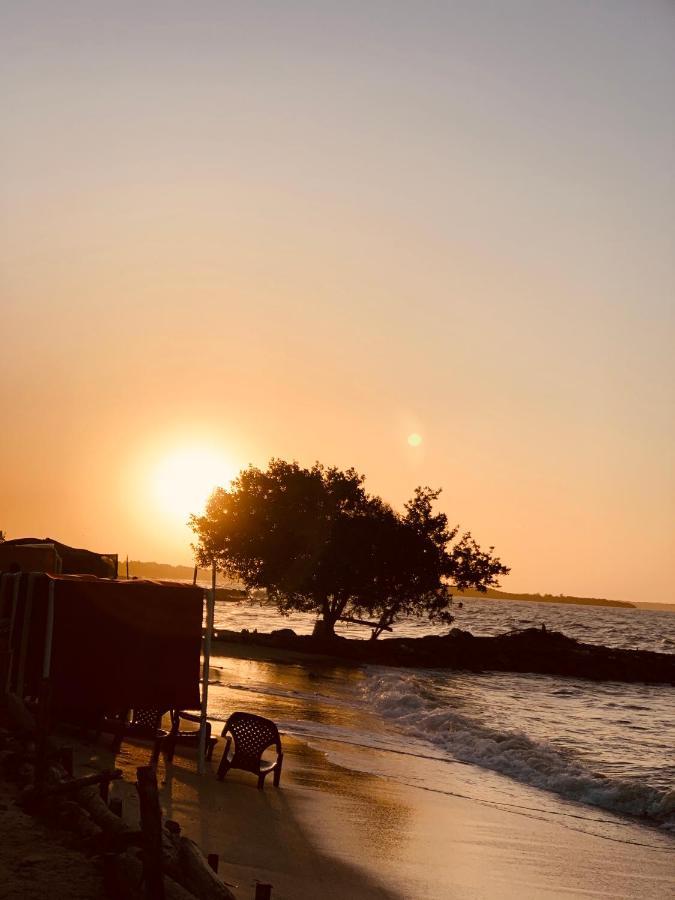 Viña De Mar Playa Blanca Villa San Antero Dış mekan fotoğraf